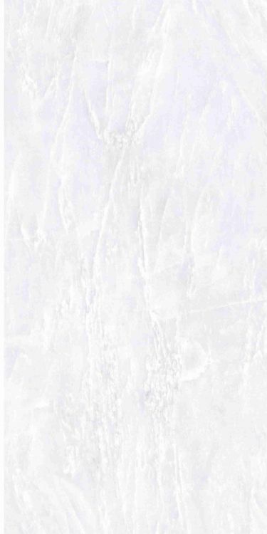 OL Vivid White Polished 12 x 24